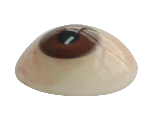 潍坊微雕义眼定制